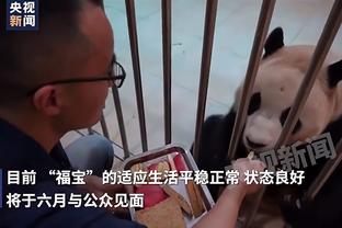 ?反观？老里和字母哥多次找裁判 交流下湖人对字母的犯规